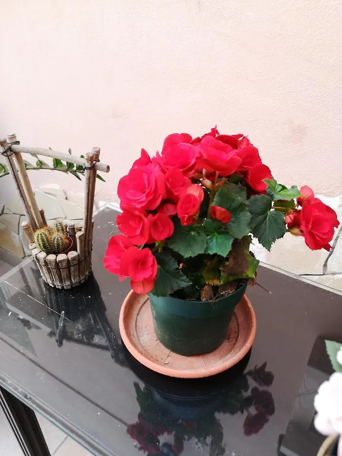 B&B Casa Valeria Catania Bed & Breakfast