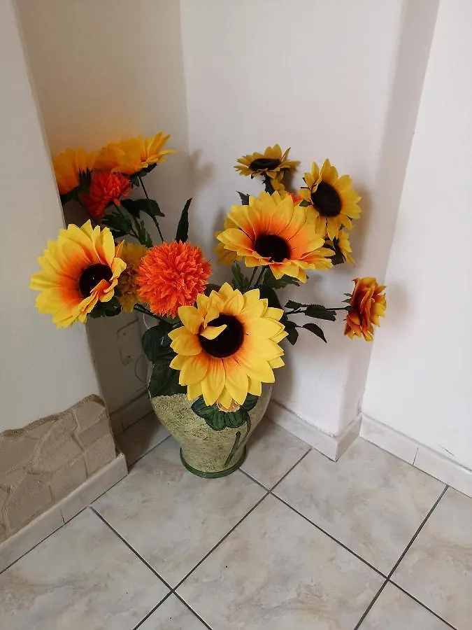 ** Bed & Breakfast B&B Casa Valeria Catania Italy